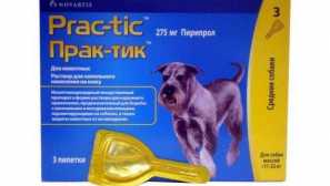 Инструкции за прилагане на практики за капчици за кучета